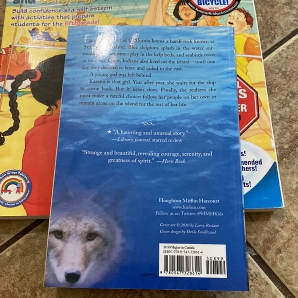 Island of the Blue Dolphins Homeschool Novel Study 5 Book Bundle 3 Novels Guides
